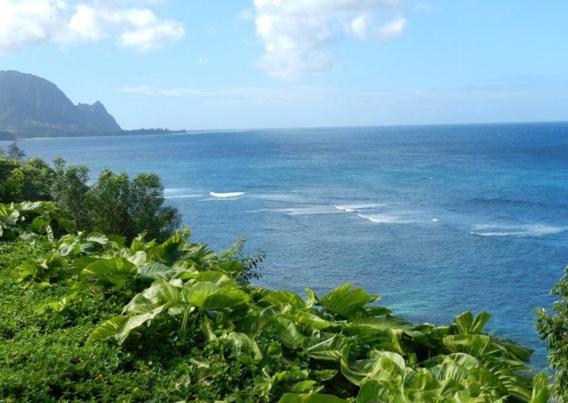 Where I like to holiday in Hawaii